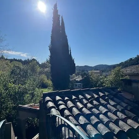 Prázdninový dům Maison Cevenole Typique Et Son Jardin Suspendu *