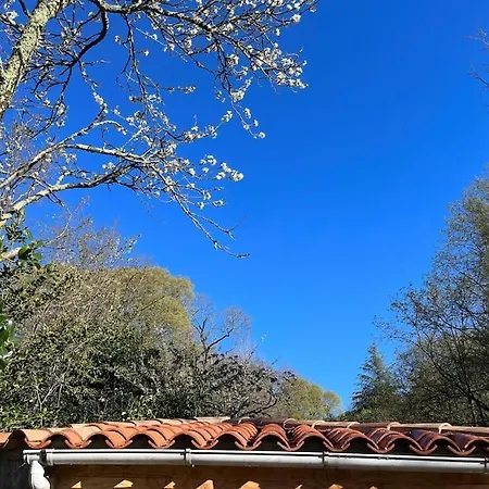 Maison Cévenole Typique Et Son Jardin Suspendu Сasa de vacaciones *