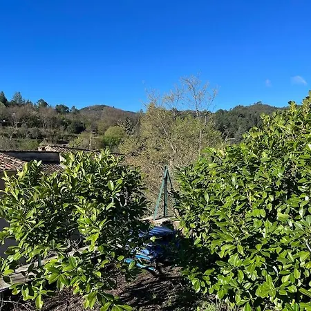 Holiday home Maison Cevenole Typique Et Son Jardin Suspendu *