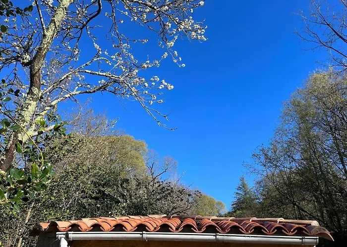 Maison Cevenole Typique Et Son Jardin Suspendu Tatil Evi *