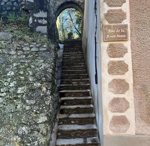 Maison Cevenole Typique Et Son Jardin Suspendu Tatil Evi Lasalle